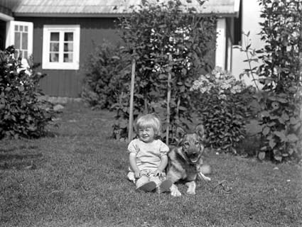 Alfred Nilsson Mjönäs son o hund liggande.
