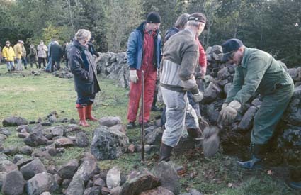 Stenmurningskurs, Hörlinge (Anders och Patrik).