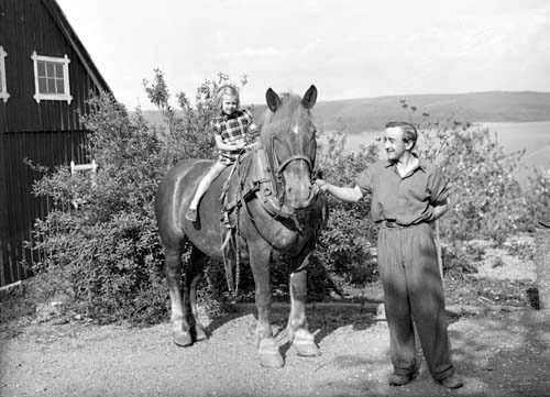 Anton Ns Lennart o hästen  Vånga Alle.