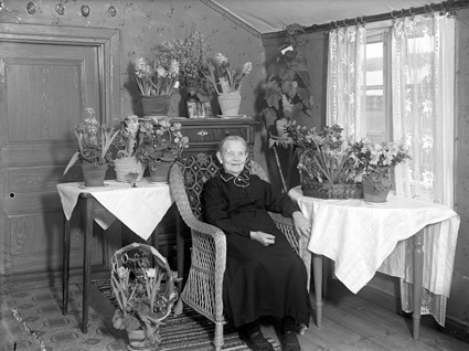Fru Ella Jönssons 80-årsdag, Vånga.