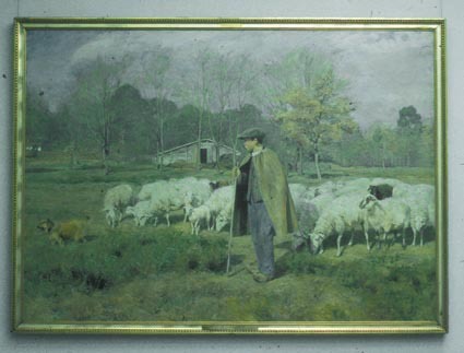 Herde med fårahjord