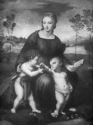 Madonna  med steglitsaon 1505-1506  Uffizi, Flo...