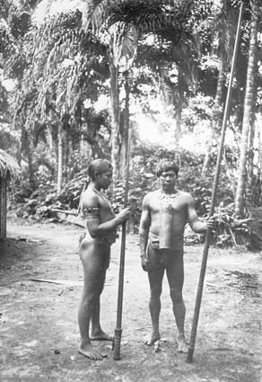 Indianer från nordvästra Brasilien med förgifta...