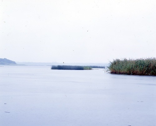 Hammarsjön