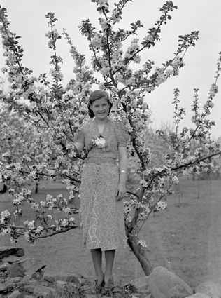Ingeborg Mårtensson Mannestad i äppleträd.