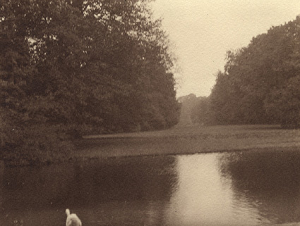 Köpenhamn 1913 Fredriksbergs have i grådager.