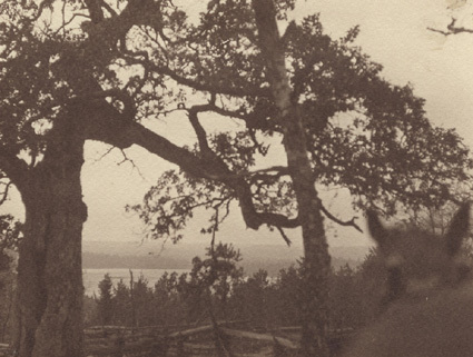 Sjön Säljen vid Åsheda i Småland 1914.