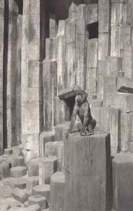 Zoologisk Have, 1931 i maj