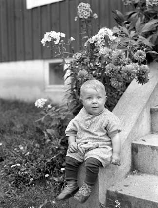 Alfred Nilsson Ek Arkelstorp minsta pojken.