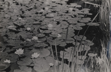 Våren 1938. Botaniska trädgården.