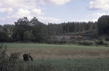 Betande hästar i Tåckarp, grustäkt i bakgrunden.