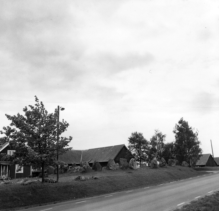 Vinslöv (Åraslöv). Gravfält, före röjning 1971.