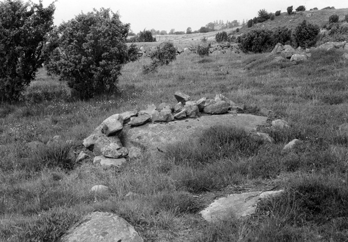 Stenrösen på fäladsmarken söder om 