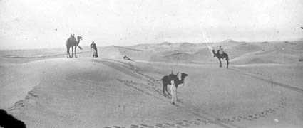 Dynöken eller Erg, Sahara.