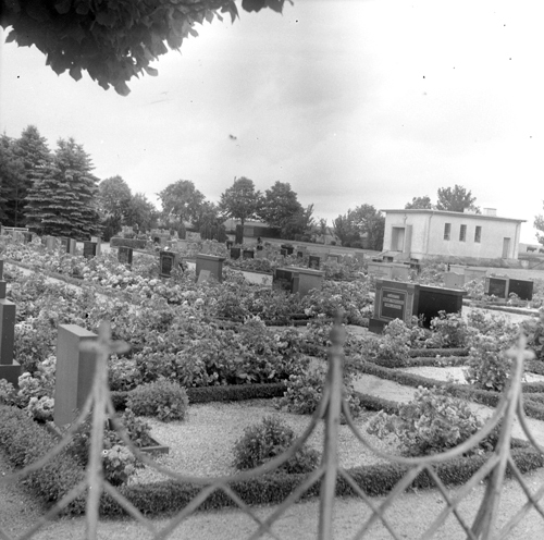 Kyrkogård  rosengård