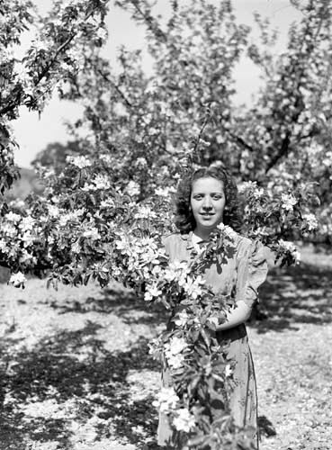 Evy Boklund vid blommande fruktträd Arkelstorp.