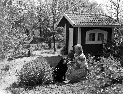 Fru Svensson o hunden Mjönäs.