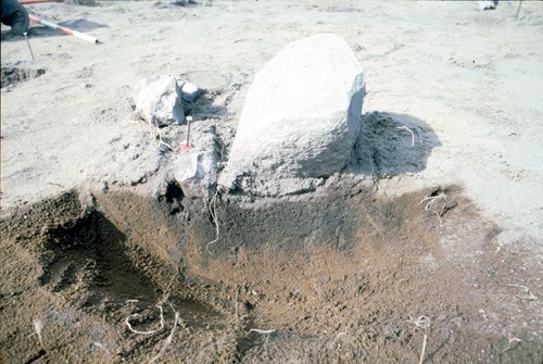 Arkeologisk undersökning 1995. Kiaby 58:1