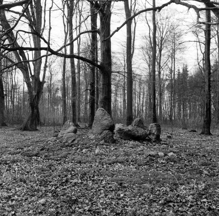 Stensättning från 1800-talet i parken på Löberö...
