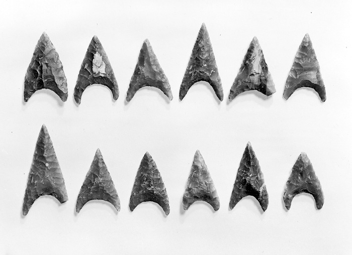 12 pilspetsar av flinta. Grav från senneolitisk...