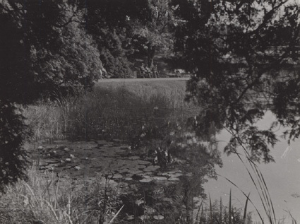Okt. 1936, Botaniskan, Lund.