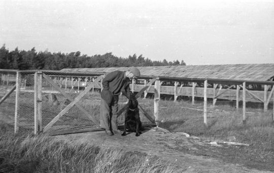 Minkfarmen i Vårhalle aug. 1949