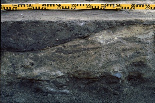 Arkeologisk undersökning kv. Vesslan 28, 1995