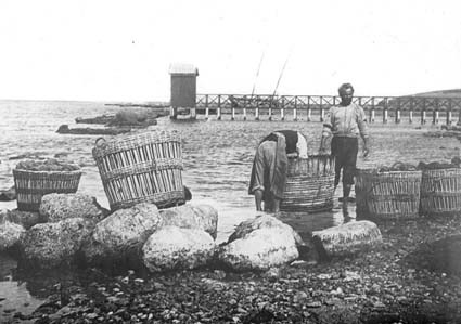 Svampfiskare på Aegina.