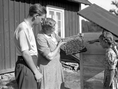 Agnes Jönsson med barnen Agne och Vanda bland b...
