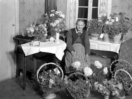 Sissa Persson 90 årsdagen Vånga.