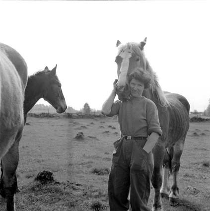 Brita Nilssons hästar i  Allarp,1956.