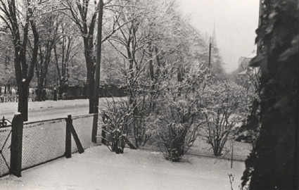 Vintern 1937. Från villatrappan.