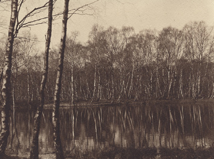 Bøllemosen Skodsborg Våren 1915.