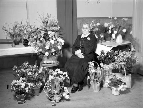 Fru Carrie Dahlins 75-årsdag m blommor, Vånga