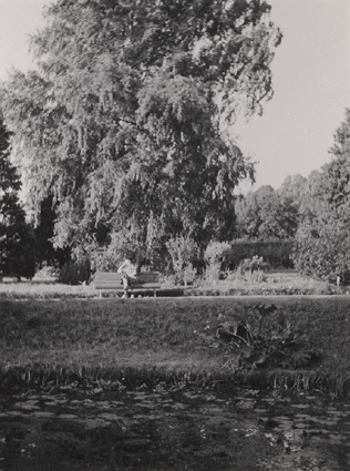Okt. 1938. Botaniska trädgården. Höst