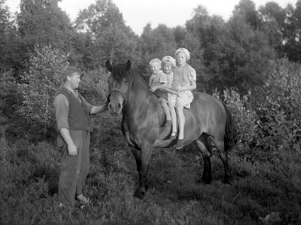 Alfred Nilsson häst o barnen Mjönäs.