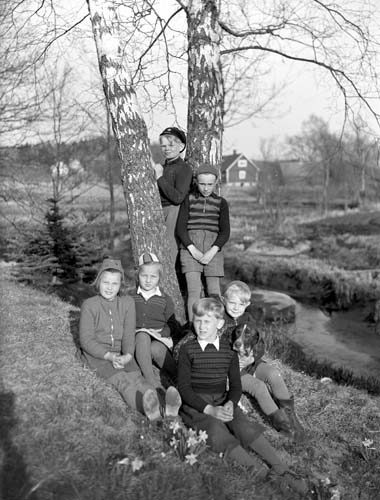 6 barn vid träd, Vånga Mölla.