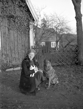Nina Månsson och hunden, Överstegården