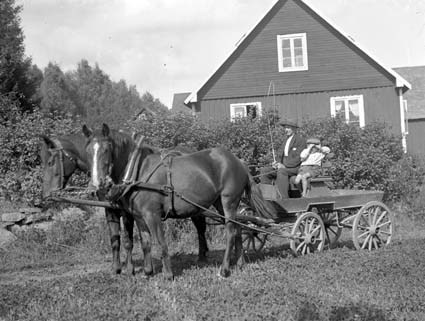 Parkörning med hästar i Perstorp. Enok Olsson m...