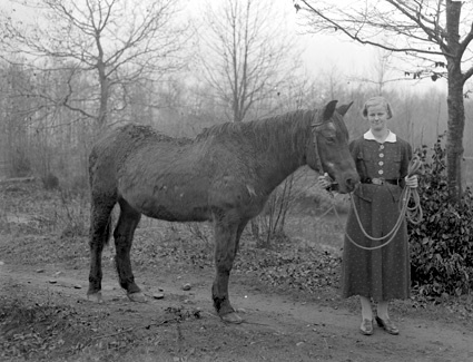 Olga Olsson Staversvad och hästen.