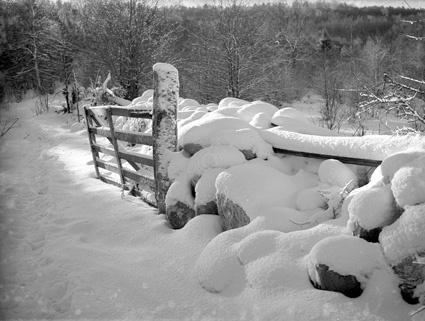 Snömotiv gård vid N.H. Staversvad.