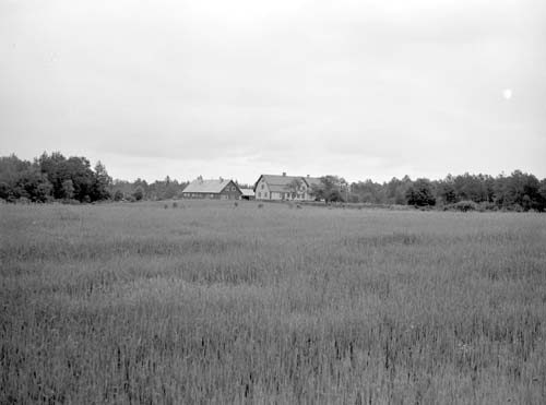 Otto Larssons gård långt från Toarp.