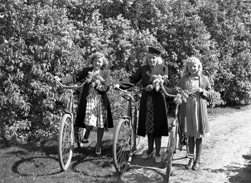 Björks 3 personer m cykel Söndraby.