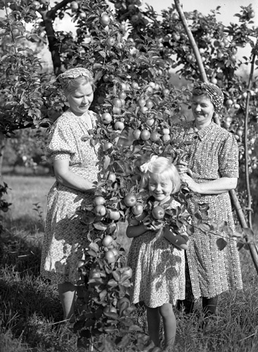 Anton Nilssons fru Agnes och dotter Karin samt ...