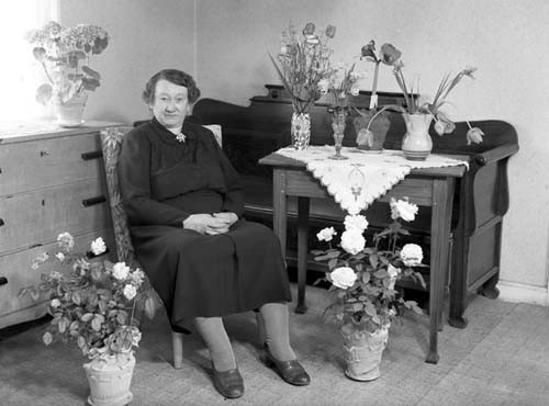 Fru Karlsson 50 årsdag Fjäramossen.