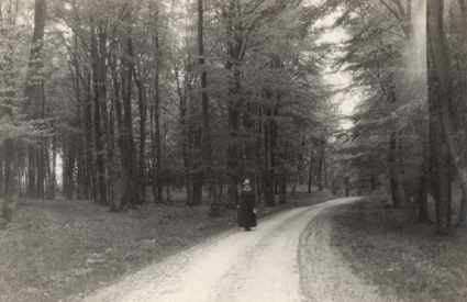 I Bökebergs skog i löf, våren 1919. Agnes Q.