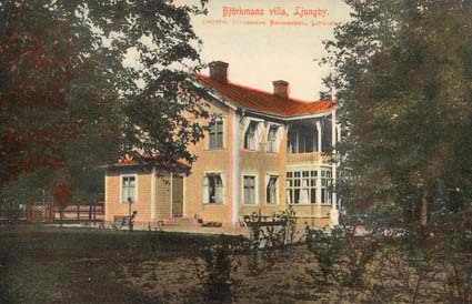 Björkmans villa, Ljungby