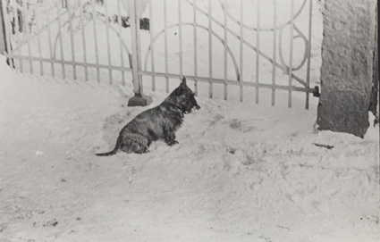 Vinter 1937, Raggen.