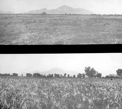 Arizonaöknen före och efter bevattningen.