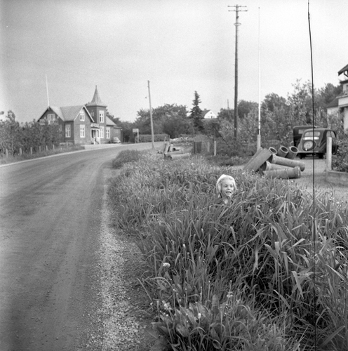 1955 Vägkanten i Kivik